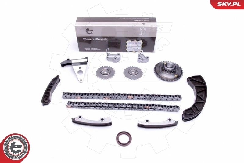 Timing Chain Kit